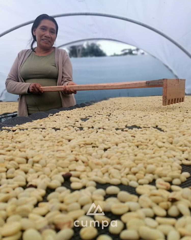 Peru Maptso Organic Filterkaffee