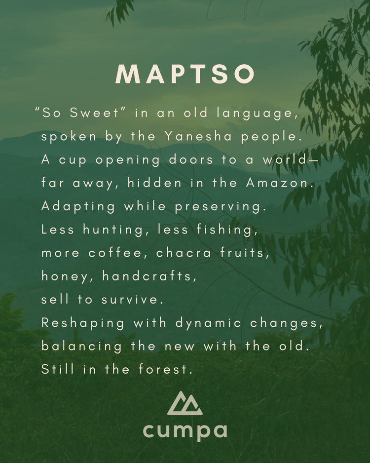 Peru Maptso Organic Filterkaffee