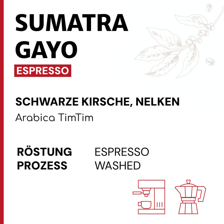 Sumatra Gayo Espresso