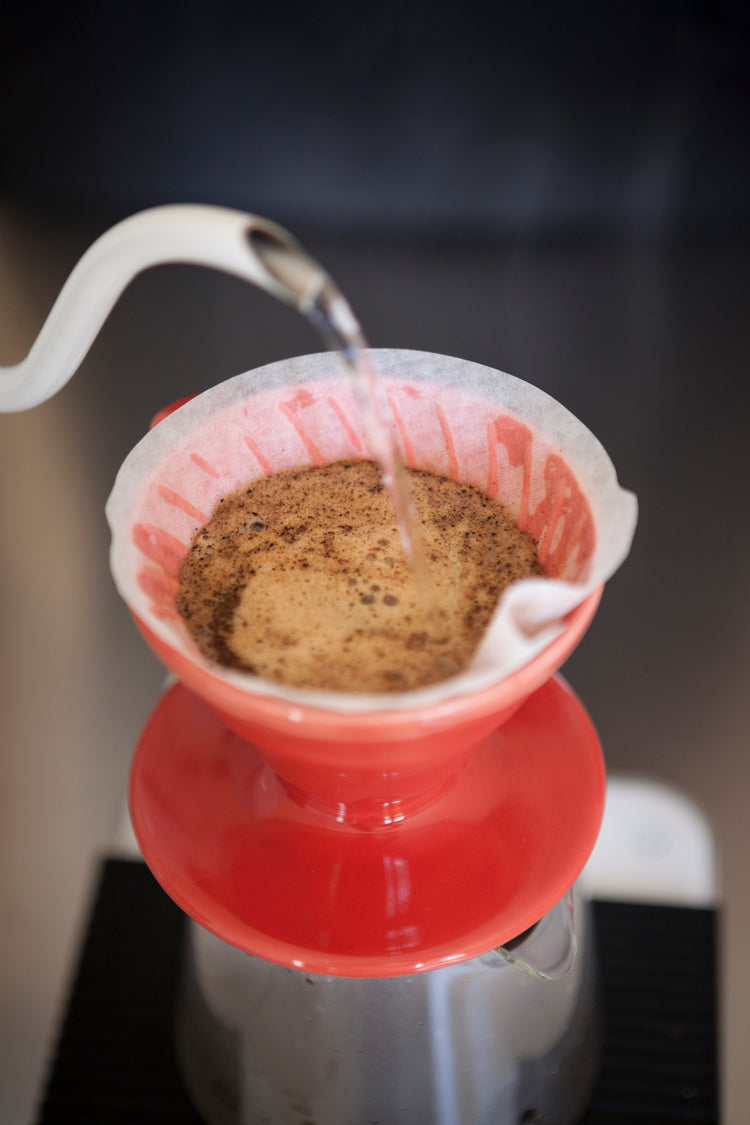 Sumatra Gayo Filterkaffee